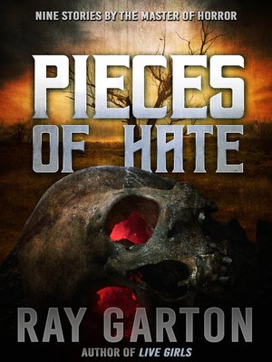 cover image of Pieces of Hate